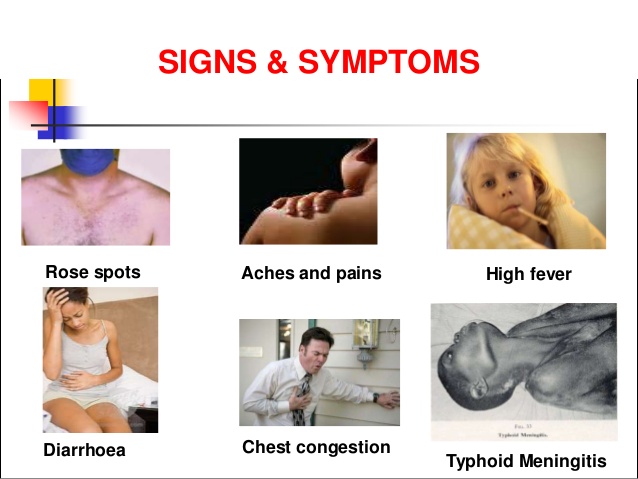 typhoid-fever-symptoms-Rainy-Season-Disease-In-Nigeria - Evatese Blog